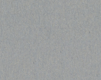 [100111114_4] Marmoleum Terra - 5802 alpine mist